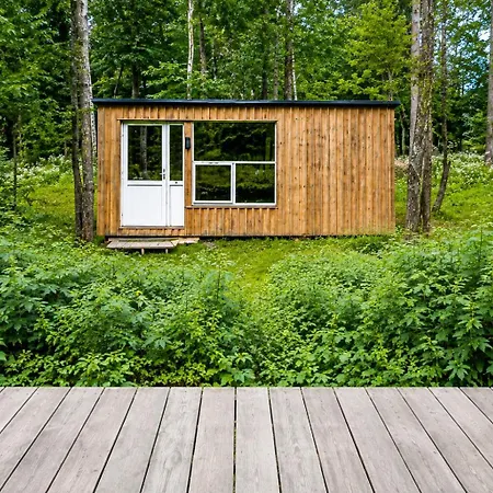 New And Charming Tiny House On A Natural Plot Casa vacanze Hasle